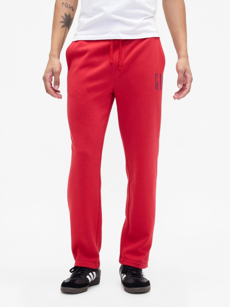 Чоловічий спортивний костюм GAP на флісі 1159852500 (Червоний XL)