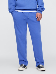 Мужской спортивный костюм на флисе GAP толстовка и штаны 1159842407 (Синий XL)