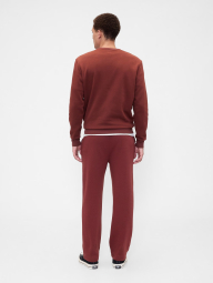 Мужской спортивный костюм на флисе GAP свитшот и штаны 1159847170 (Коричневый L)