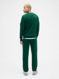 Чоловічий спортивний костюм на флісі GAP світшот та штани 1159850728 (Зелений XL)