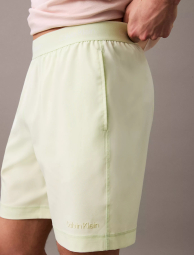 Мужские спортивные шорты Calvin Klein с логотипом 1159847477 (Салатовый XL)