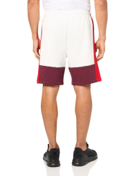 Чоловічі спортивні шорти Lacoste 1159853481 (Білий/Червоний 3XL)