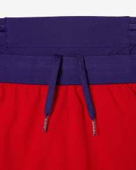 Мужские спортивные шорты Lacoste x Novak Djokovic 1159856659 (Красный XXL)