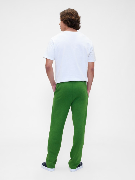 Мужские спортивные штаны GAP на флисе 1159856697 (Зеленый L)