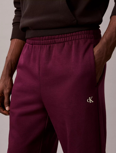 Мужские джоггеры Calvin Klein спортивные штаны 1159862012 (Фиолетовый M)