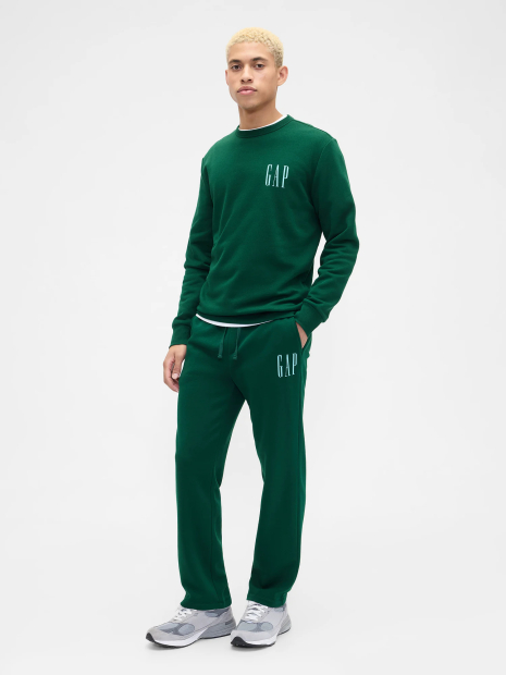 Мужские спортивные штаны GAP на флисе 1162979248 (Зеленый L)