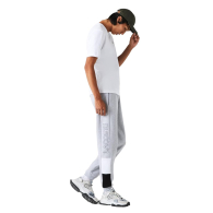 Мужские спортивные штаны Lacoste джоггеры на флисе 1159845325 (Серый 4XL)