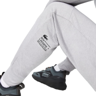 Мужские спортивные штаны Lacoste джоггеры 1159846216 (Серый 4XL)