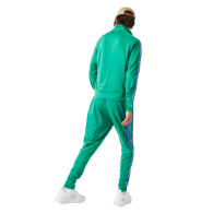 Мужские спортивные штаны Lacoste джоггеры 1159850486 (Зеленый 3XL)