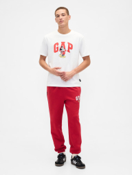 Мужские спортивные штаны GAP на флисе 1159856671 (Красный S)