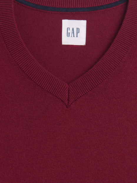 Мужской свитер GAP с V-образным вырезом 1159865041 (Бордовый XL)