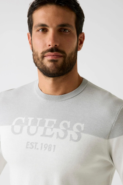 Мужской двухцветный свитер GUESS 1161337643 (Белый/Серый XXL)