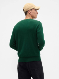 Мужской свитер GAP 1159854462 (Зеленый M)