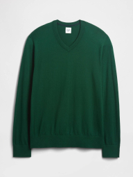 Мужской свитер GAP 1159854463 (Зеленый L)