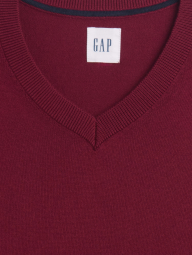 Мужской свитер GAP с V-образным вырезом 1159865041 (Бордовый XL)