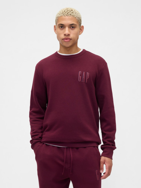 Чоловічий світшот GAP на флісі 1159846976 (Bord L)