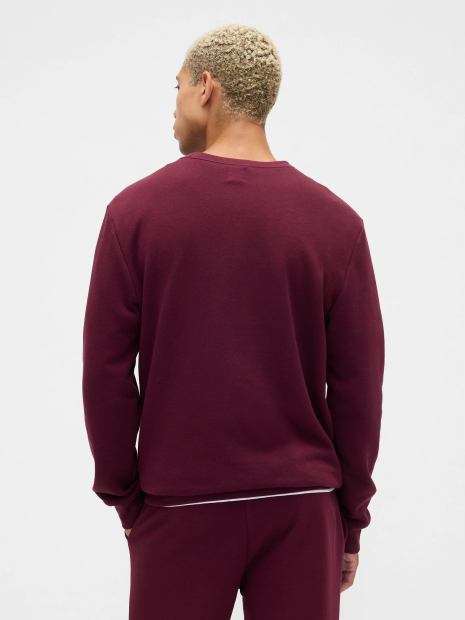 Чоловічий світшот GAP на флісі 1159846976 (Bord L)