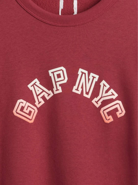 Чоловічий світшот GAP на флісі 1159859130 (Бордовий XL)