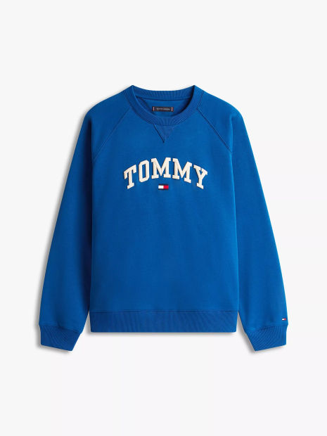 Мужской свитшот Tommy Hilfiger на флисе 1159862805 (Синий M)