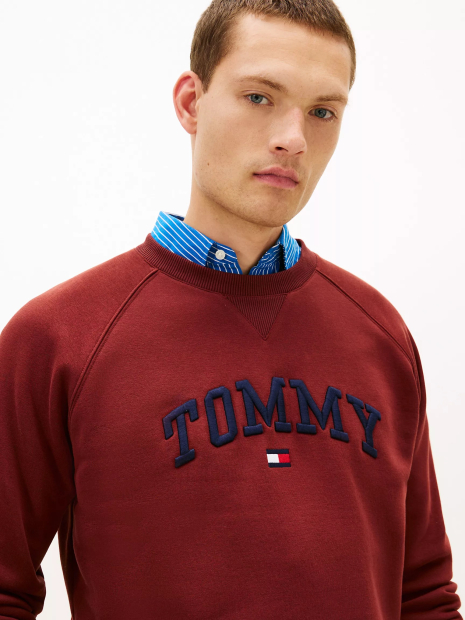 Мужской свитшот Tommy Hilfiger на флисе 1159862810 (Бордовый M)