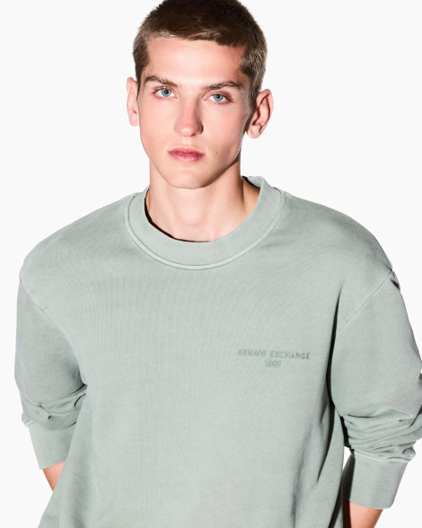 Чоловічий світшот Armani Exchange з логотипом 1159864809 (Зелений M)