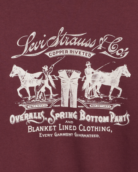 Свитшот на флисе Levi's с принтом 1159951588 (Бордовый L)
