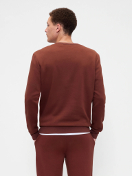 Свитшот мужской GAP на флисе 1159847159 (Коричневый XL)