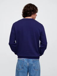 Чоловічий світшот GAP на флісі 1159851207 (Синій L)