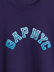 Чоловічий світшот GAP на флісі 1159851207 (Синій L)