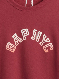 Чоловічий світшот GAP на флісі 1159859130 (Бордовий XL)