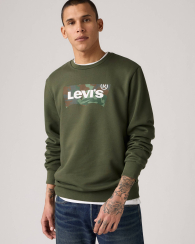 Мужской свитшот на флисе Levi's с логотипом 1159859902 (Зеленый XL)