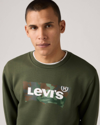 Мужской свитшот на флисе Levi's с логотипом 1159859902 (Зеленый XL)