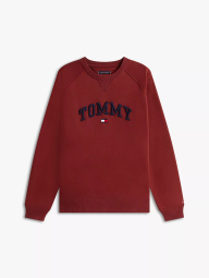 Мужской свитшот Tommy Hilfiger на флисе 1159862810 (Бордовый M)