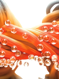 Чоловічий лонгслів UNIQLO з технологією HEATTECH 1159857162 (Молочний XXL)