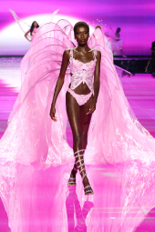 Мереживні трусики бразилії Victoria's Secret 1159848692 (Рожевий XL)