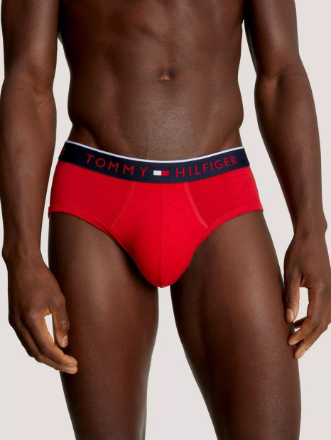 Набор мужских трусов Tommy Hilfiger брифы 1159839764 (Разные цвета XL)