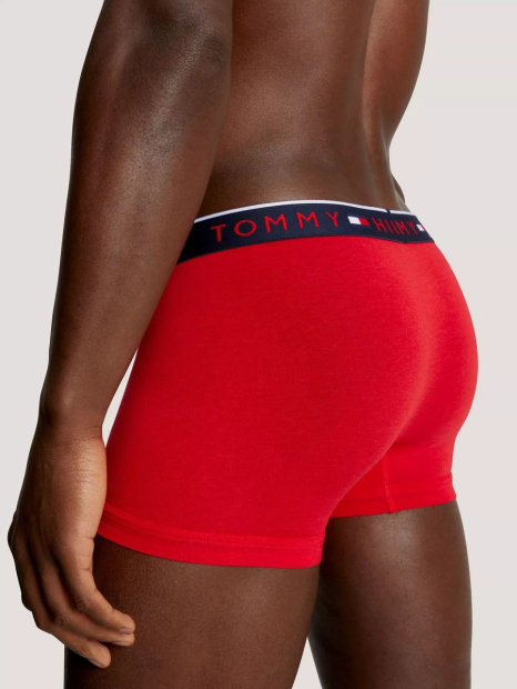 Набор мужских трусов Tommy Hilfiger брифы 1159839764 (Разные цвета XL)