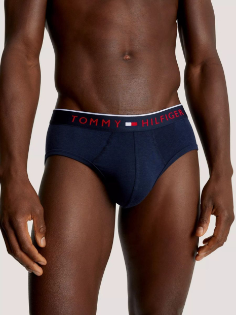 Набір чоловічих трусів Tommy Hilfiger 1159839767 (Синій M)