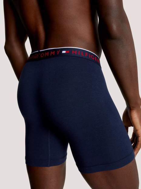 Набор мужских трусов Tommy Hilfiger боксеры 1159839772 (Синий M)