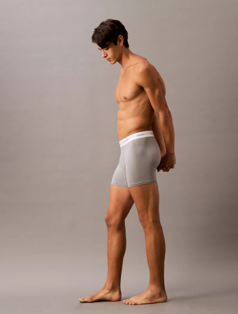 Набор мужских трусов Calvin Klein боксеры 1159840282 (Разные цвета M)