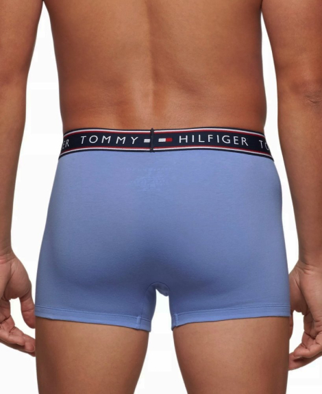 Набір чоловічих трусів Tommy Hilfiger транки 1159846080 (Різні кольори XXL)