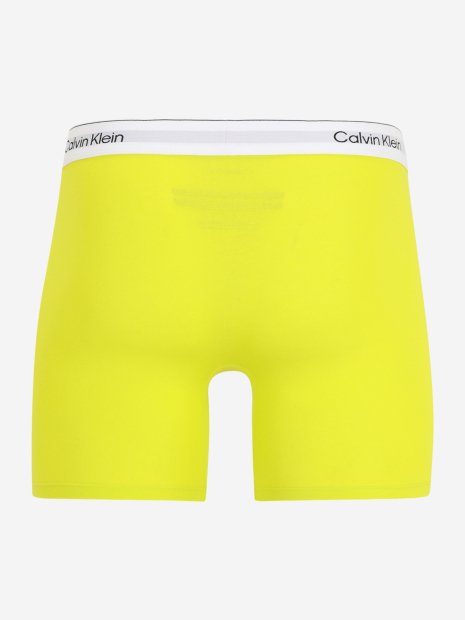 Набор мужских трусов боксеров Calvin Klein 3 шт 1159846838 (Разные цвета L)