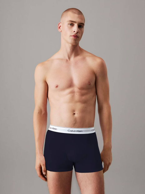 Набор мужских трусов Calvin Klein 3 шт транки 1159850220 (Разные цвета M)