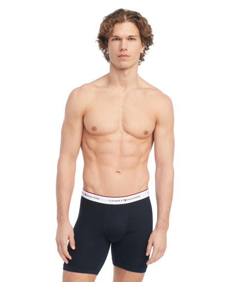 Набор мужских трусов Tommy Hilfiger удлиненные боксеры 1159850296 (Синий XL)
