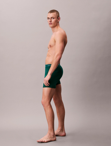 Набор мужских трусов Calvin Klein боксеры 1159851296 (Разные цвета L)