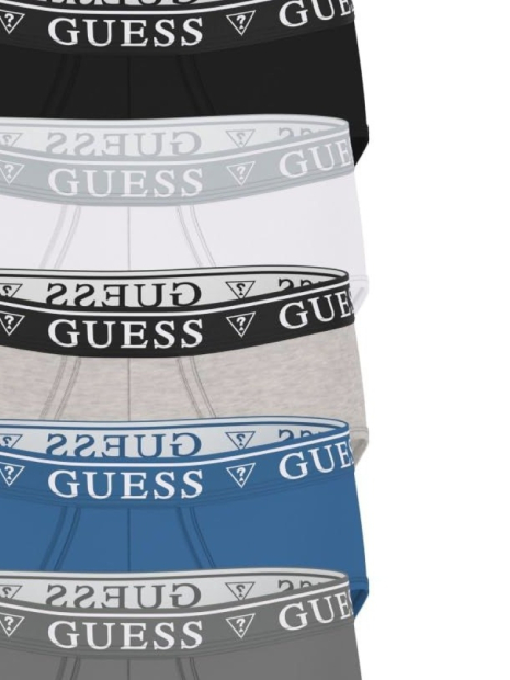 Набор мужских трусов Guess брифы 5 шт 1159864173 (Разные цвета M)