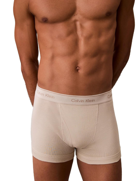 Набор мужских трусов Calvin Klein транки 1159919106 (Разные цвета XL)