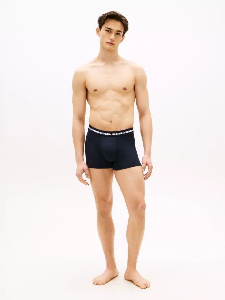 Набор мужских трусов Tommy Hilfiger транки 1161113495 (Разные цвета M)