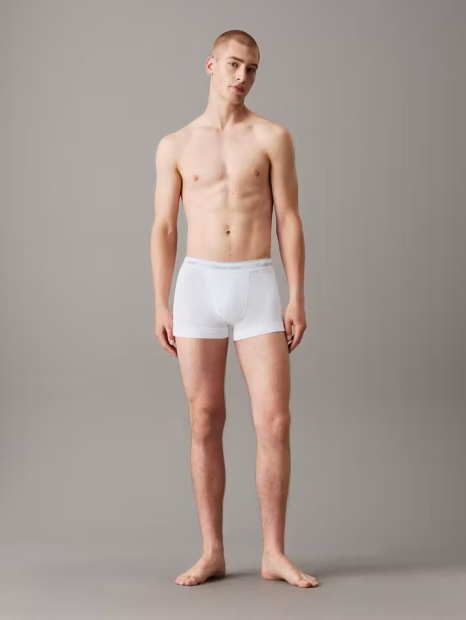 Набор мужских трусов Calvin Klein транки 1161258723 (Разные цвета L)