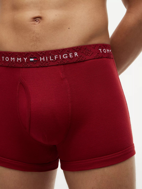 Набор мужских трусов Tommy Hilfiger транки 3 шт 1162942246 (Разные цвета L)